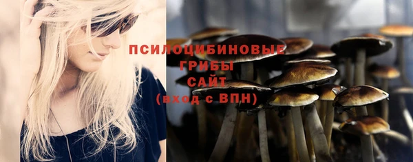 гидропоника Нефтекумск