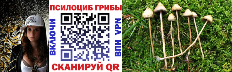 Псилоцибиновые грибы ЛСД  Петров Вал 
